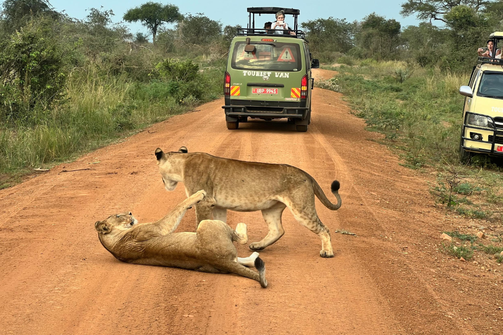 cheap 4x4 car rental Uganda - Safari Van