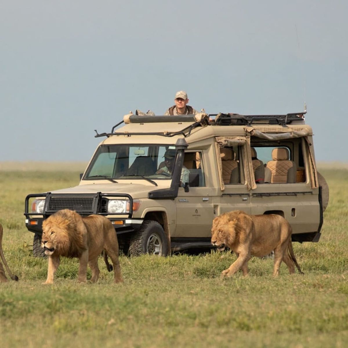 Queen Elizabeth National park- CHeap 4x4 car rental uganda